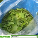 바닷가농원 이미지