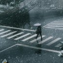 J2M SPORTS 이미지