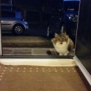 문현관앞 이미지