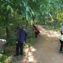 명일2동주민센터 이미지