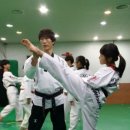 박사 엘리트 태권도 이미지