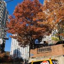 한양대엘리트태권도 이미지