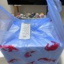 통큰어촌후계자 | 연안부두 시세 킹크랩 수율 싯가 <어촌> 인어교주해적단 내돈내산