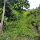 송강테마랜드 이미지