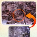 [39]청송(靑松) 주왕산(周王山) 용추협곡(龍湫峽谷)과 용연폭포(龍淵瀑布)