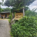 제일송어산장 | 2번째 재방문! 정선파크로쉬 근처 향토음식 맛집 추천드려요!(feat.송어비빔회,돼지조림,향어찜,계절전)