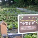 동문농장 이미지