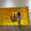 해리스커피 | 장마철 제주 3박 4일(함덕흑돼지,해리스가든,만장굴, 히든클리프배달맛집,감성카페)여행기