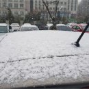 신정꽃마을