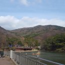 부산어린이대공원 티스토리