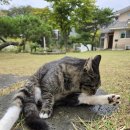 펜션무이 이미지