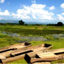 우포늪관광안내소 이미지