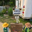 3785 | 서울근교 실내 애견동반 강화 가볼만한 곳 메타세콰이어숲 메타포레스트 카페 영업시간 후기