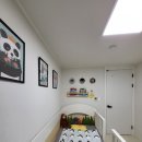 레인보우데이