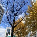 지에스25흥덕세원점 | CU 두바이쫀득찹쌀떡(두바이쫀득쿠키) 솔직 후기｜포켓CU로 재고조회 후 픽업 주문하는 법