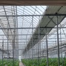 삼오농장 이미지