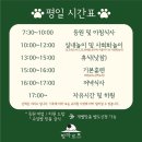 멍마르뜨 이미지