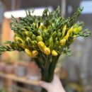 올래농장 이미지