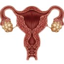 민트산부인과의원 이미지