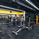 아인스 휘트니스 이미지