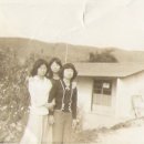 자매마을회관 이미지