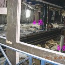 영동콜라텍 이미지