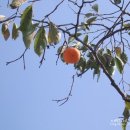 안산평생학습도서관 이미지