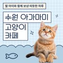 수원 아가마미 고양이카페 추천 딸이랑 보낸 따뜻한 하루