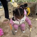 도담소리숲 유치원 이미지