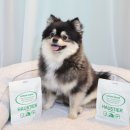 티어리베 이미지