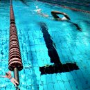 새벽 수영 일기 🏊‍♀️ 금요일 자유형 릴레이 대결 후기!