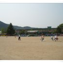 옥계초교 이미지