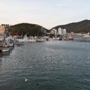 대변항2 이미지