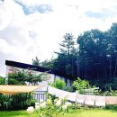 &#39;24기독교개혁신보-뷰 맛집-김안선 이미지