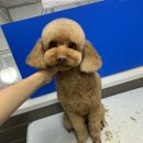 포일동물병원 이미지