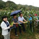 늘푸름목장 이미지