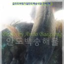 128민박 이미지