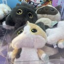 큐브 뽑기방 이미지