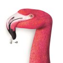 시그니아 독일 보청기 이미지