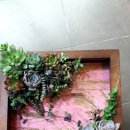 신논현역 2번출구 뒤 이미지