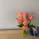 성현농원 | 처음으로 농라카페에서 주문해본 생화 꽃 배달! (세복농원 후기 넘 만족스럽)