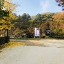 알천비빔국수 이미지