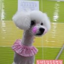 동래종합동물병원 이미지