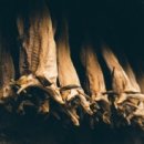 황태고을 이미지