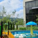 킹콩키즈풀빌라 이미지