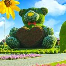 두바이 미라클 가든(Dubai Miracle Garden) 이미지