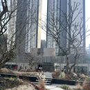 더 포레스트 이미지