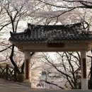 수봉양궁장 이미지