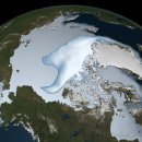북극의 얼음층이 급격히 사라지고있다...! 이미지