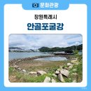 창원 안골포굴강 네이버블로그